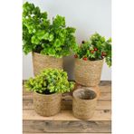 Sepetçi Baba Sepetçibaba Carin - Dekoratif Doğal El Örmesi Hasır 4 Lü Mini Saksı Sepet Seti