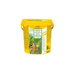 Sera ImmunPro 100 gr Açık Balık Yemi