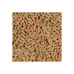 SERA Raffy P Sticks Nature 250 gr. SKT : 10/2027 Kaplumbağa Yemi
