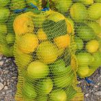 Sera Trend 25 Adet 24x48 m Sarı Limon Ceviz Fındık Çok Amaçlı Boş Çuval