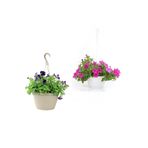 Serada Decor & Plant 2'Li Set Mor ve Pembe Renkli Petunya Çiçeği, 10-30 cm