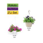 Serada Decor & Plant 2'Li Set Pembe + Mor Renkli Petunya Çiçeği, 10-30 cm