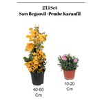 Serada Decor Plant 2'li Set Sarı Begonvil+ Pembe Karanfil Çiçeği Dış Mekan Bitkisi