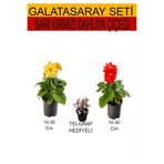 Serada Decor & Plant 2'li Set Sarı-Kırmızı Dahliya Çiçeği + Telgraf Çiçeği, 10-30 cm
