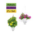 Serada Decor & Plant 2'Li Set Sarı + Pembe Renkli Petunya Çiçeği, 10-30 cm