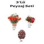 Serada Decor & Plant 3'lü Peyzaj Seti, Kırmızı Karanfil, Kırmızı Petunya Çiçeği, Çiçekli Bitki Seti