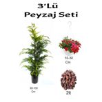 Serada Decor & Plant 3'lü Peyzaj Seti, Leylandi Fidanı, Kırmızı Petunya Çiçeği, Çok Renkli