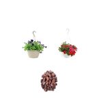 Serada Decor & Plant 3'Lü Peyzaj Seti, Mor ve Kırmızı Petunya Çiçeği, 10-30 cm