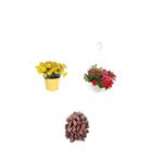 Serada Decor & Plant 3'lü Peyzaj Seti, Sarı Çalı Papatyası, Kırmızı Petunya Çiçeği, Çok Renkli