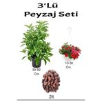 Serada Decor & Plant 3'lü Peyzaj Seti, Viburnum Fidanı, Kırmızı Petunya Çiçeği, Curf, Çok Renkli