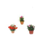 Serada Decor & Plant 3'lü Set Karanfil Çiçeği, Kırmızı, Koyu Pembe, Açık Pembe, 10-20 cm, Dış Mekan Bitkisi