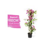 Serada Decor Plant Begonvil Çiçeği Bitkisi Pembe 110 cm