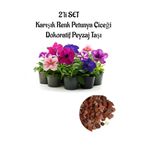 Serada Decor & Plant Karışık Renk Petunya Çiçeği 10 Adet (10-20 cm) + Curf Dekoratif Taş 2 lt, 2'li Bahçe Peyzaj Seti