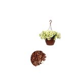 serada decor & plant Kartopu Çiçeği (40-80 cm) + Sarı Petunya (20-30 cm) + 2 lt Curf Dekoratif Taş 3'lü Peyzaj Seti, Çok Renkli
