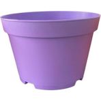 Serada Decor Plant Katı Plastik Sukulent Saksısı 5 Adet Açık Mor (8.5 Cm)