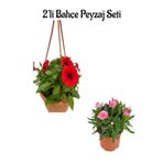 Serada Decor & Plant Kırmızı Petunya Çiçeği (20-30cm) + Pembe Karanfil (15-25cm) 2'li Bahçe Peyzaj Seti, Çok Renkli
