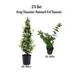 Serada Decor & Plant Kokulu Bahçe Seti, Arap Yasemini + Katmerli Ful Yasemin Çiçeği Fidanı, 2'li Set