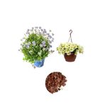 Serada Decor & Plant Mavi Çalı Papaptyası, Sarı Petunya Çiçeği, Dekoratif Taş Seti, Çok Renkli, 3'lü Bahçe Peyzaj Seti