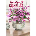 Serada Decor & Plant Pembe Nanouk Telgraf Çiçeği Minik, Tek Ebat