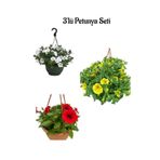 Serada Decor & Plant Petunya Çiçeği 3'lü Bahçe Peyzaj Seti, Beyaz+Sarı+Kırmızı, 15-30 cm
