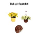 serada decor & plant Sarı Çalı Papaptyası, Sarı Petunya Çiçeği, Dekoratif Taş Seti, Çok Renkli
