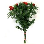 Serada Decor Plant Tradescantia Nanouk Pembe Telgraf Çiçeği Ithal 12.Cm.Büyük Boy Saksıda