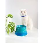 Seramik Kedi Ve Köpek Mama Su Kabı Colorful Moon Bowl TURKUAZ GÖKKUŞAĞI