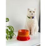 Seramik Kedi Ve Köpek Mama Su Kabı Colorful Moon Bowl TURUNCU GÖKKUŞAĞI