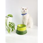 Seramik Kedi Ve Köpek Mama Su Kabı Colorful Moon Bowl YEŞİL GÖKKUŞAĞI