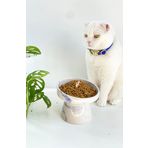 Seramik Kedi Ve Köpek Mama Su Kabı MAVİ EBRU