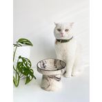 Seramik Kedi Ve Köpek Mama Su Kabı SİYAH ÇİZGİLİ EBRULİ