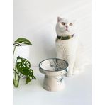 Seramik Kedi Ve Köpek Mama Su KabI YEŞİL ÇİZGİLİ EBRULİ