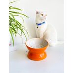 SERAMİK YAVAŞ YEME KEDİ MAMA KABI (TURUNCU)