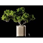 Seraphis Dekoratif Saksı - Bej Üçgen Işlemeli Modern Bitki Saksısı 10 cm - 100x100x100mm