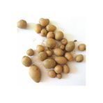Serapias Vomeracea Salep Yumrusu Tohumu (10 Adet) FHQTXZ59