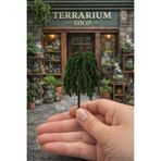 serce Büyük Boy Ağlayan Söğüt Ağacı 9 cm Minyatür Ağaç – Sarkık Ağaç Modeli | Teraryum & Diorama Dekoru