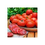 Serdar Çam Tohumculuk Florida domates tohumu geleneksel floridade tomato
