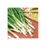 Serdar Çam Tohumculuk Taze soğan tohumu geleneksel white spear seeds allium fistulosum