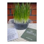 SERENALP %100 DOĞAL KEDİ ÇİMİ FİLELİ SET (TORF + FİLE + TOHUM SET HALİNDE)