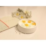 Serenity Sanat El Yapımı Papatya Kase %100 Doğal Soya Wax Kokulu Mum