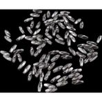Serhat Aksesuar ve El İşçilik 14x5 mm Metalik Gri Arpa Takı Malzemesi Boncuk (30 Gr 170 Adet)