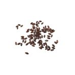 Serhat Aksesuar ve El İşçilik Oval Koyu Kahverengi İçten Delikli 12x5 mm Delikli Boncuk Aksesuar Takı Malzemesi (20 Adet)