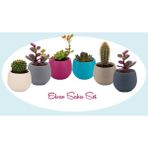 Serinova- Elvan 6 Adet Mini Kaktüs-Sukulent Saksı Seti - Elvan Saksı No: 1 Drenajlı 0,13 Lt ( ES01 ) - 0.13 Lt.