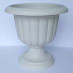 Serinova Krem Nergis Saksı - 9.8 lt