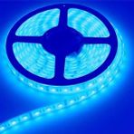 Şerit Led Mavi 5 Mt