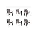 Sermer Pazarlama 6 Lı Set Troya Rattan Koltuk