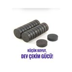 Sermet Süs Dünyası 10 AD Güçlü Magnet Mıknatıs Seti-Hobi, Okul ve Buzdolabı İçin Mıknatıs 14 x 3 mm