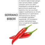 Serrano Biberi Özlü Sıkılaştırıcı Bölgesel İncelme Selülit Çatlak Karşıtı Soğuk Lipoliz Jel 250Ml (3 Paketi)