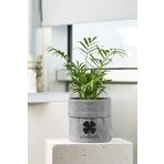 Serstil Mini Boy Silindir Gri Sepet - 15 X 15 Cm