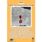 Sertifikalı Akik Doğal Taş Tasarım Kolye El Yapımı Kırmızı Kaplumbağa Obje Detay AAA Kalite
